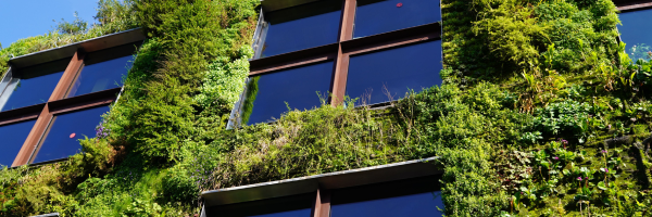 CONNAÎTRE ET DÉVELOPPER LA FILIÈRE LOCALE DE MATÉRIAUX BIOSOURCÉS ET GÉOSOURCÉS