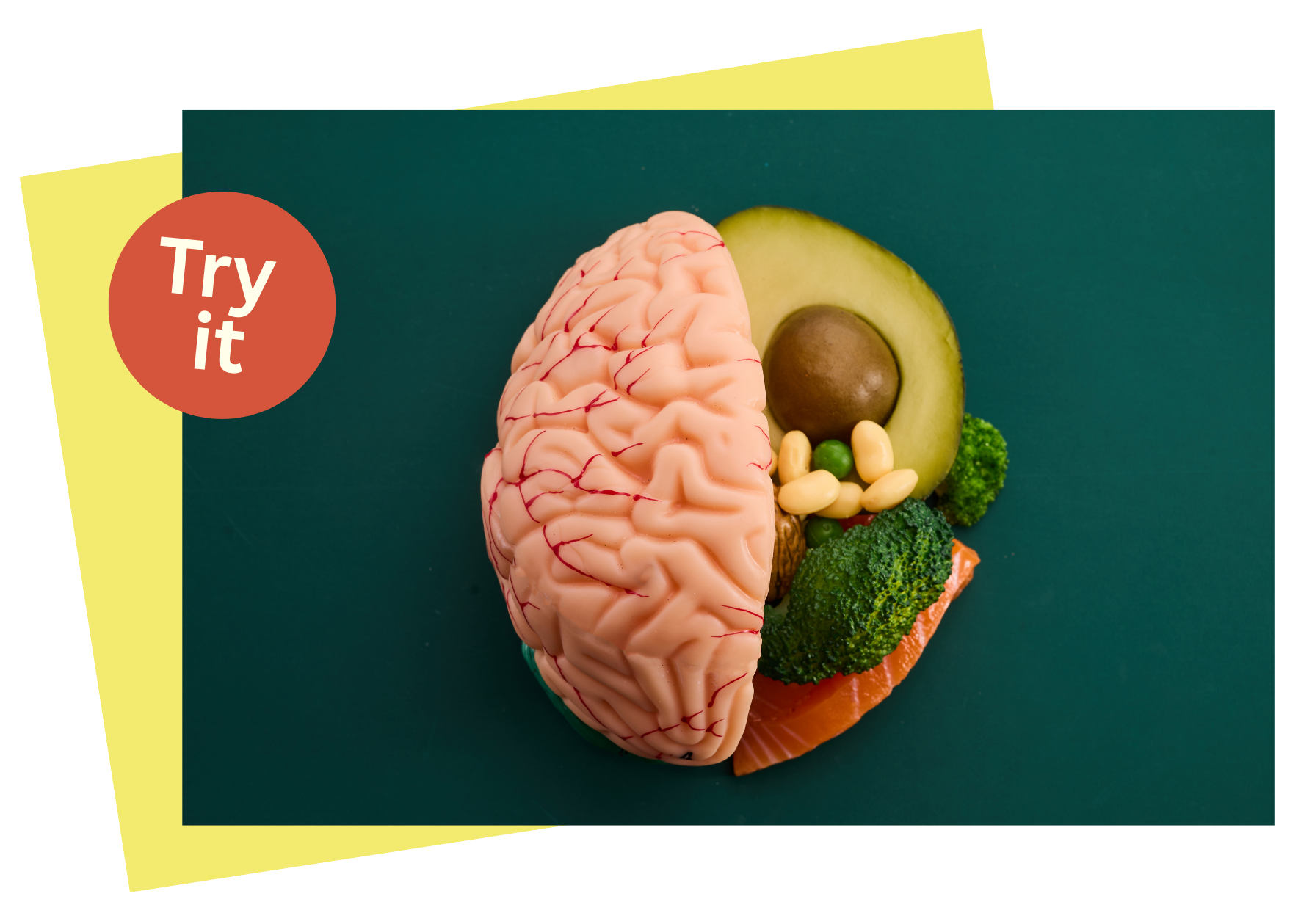 Lifestyle Image Lifestyle Image