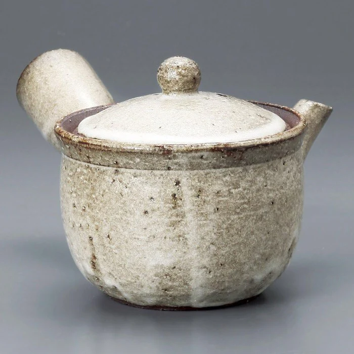 Shigaraki Yohen Ceramic Kettle