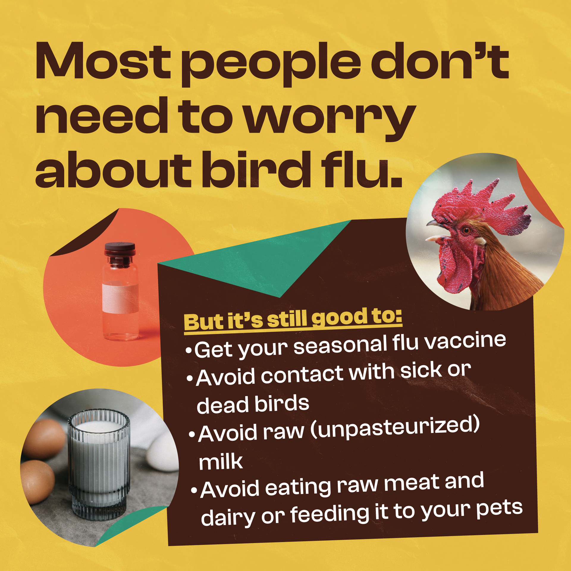 Most people don't need to worry about bird flu