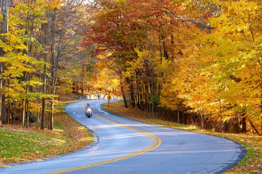 a motorcycle on a road surrounded by trees