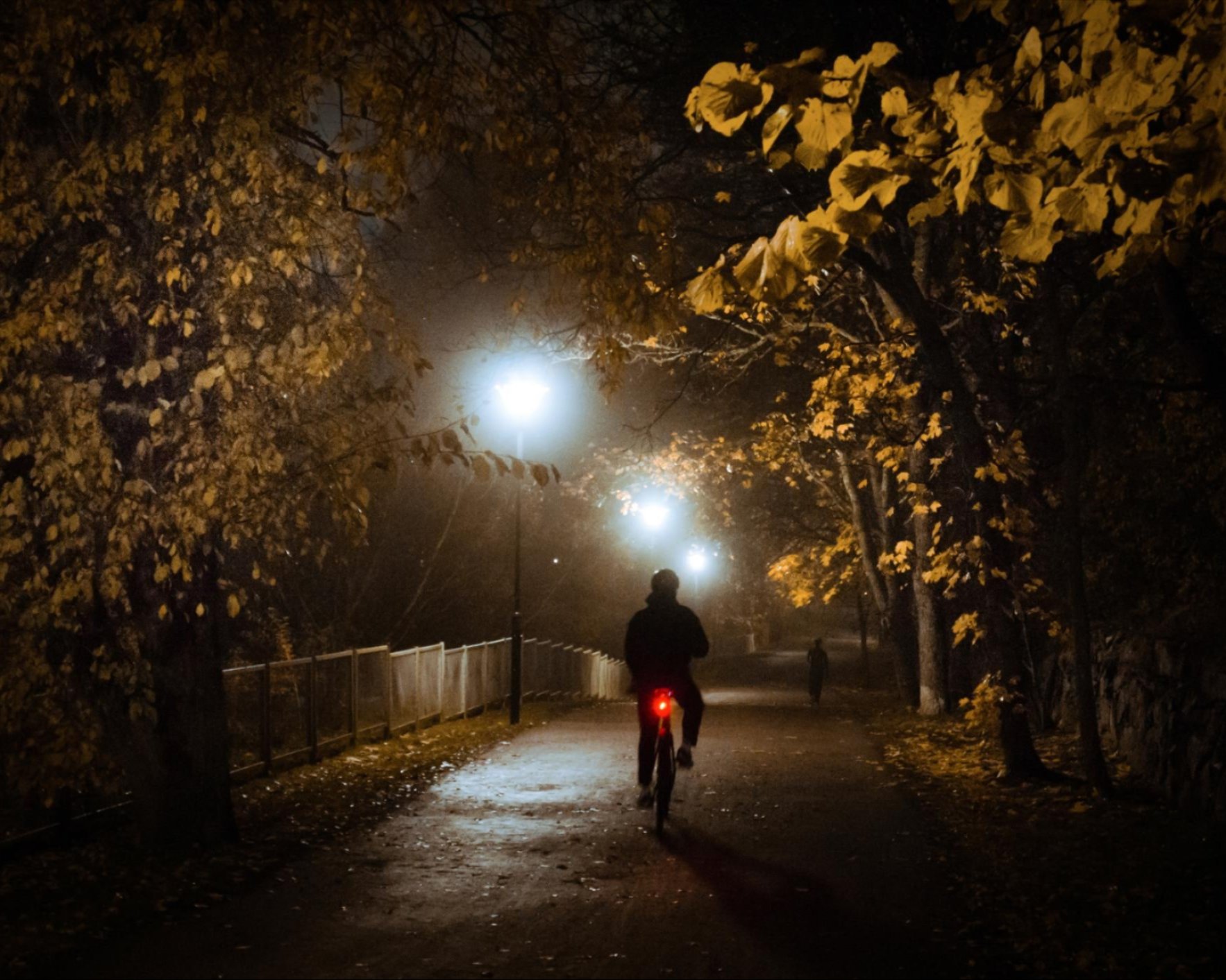 a person riding a bicycle on a path with trees and street lights