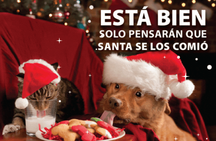Felices Fiestas