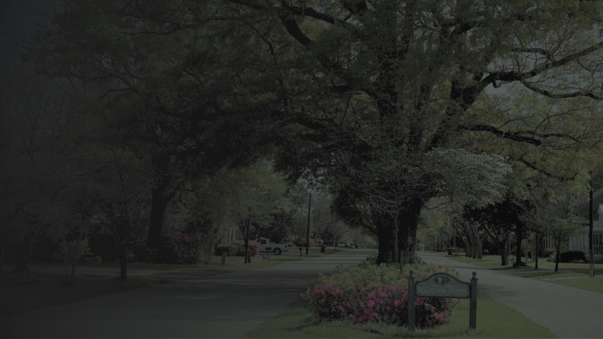 Live oak trees