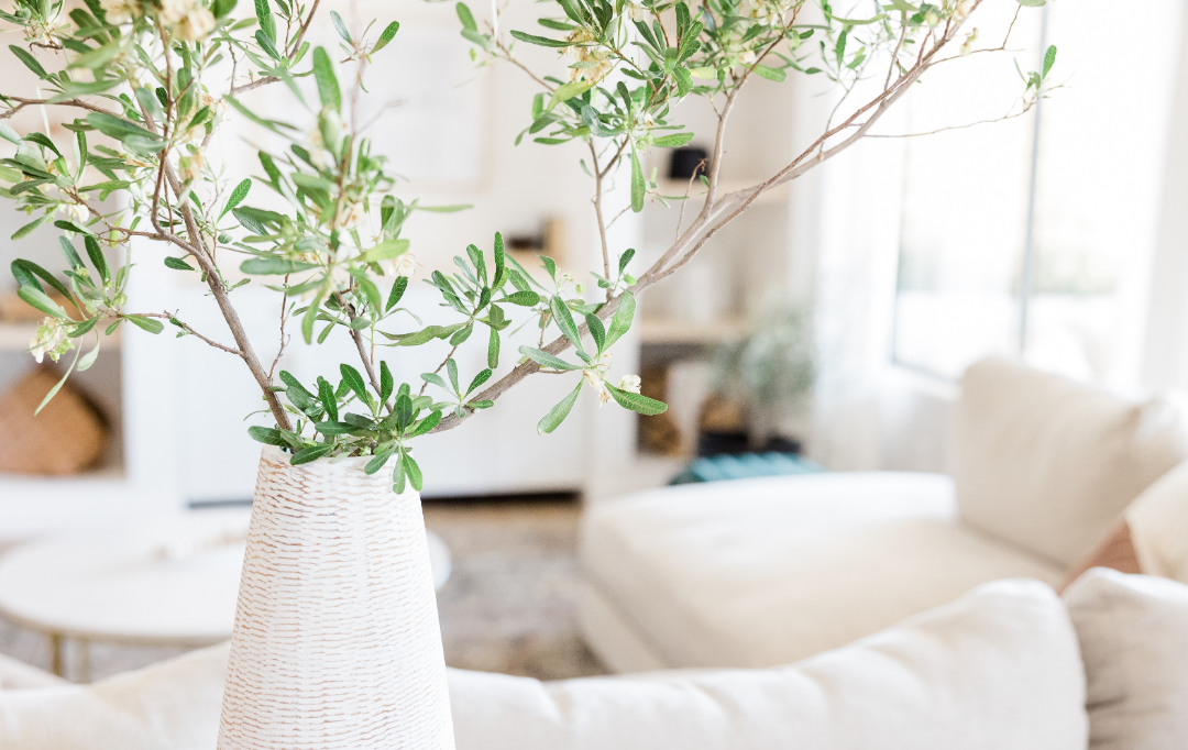 Selling Essentials:  Showcasing Your Home  | Building Real Estate Success with Cassie Dealy and James Trano, Realtors&reg; with Senn&eacute;