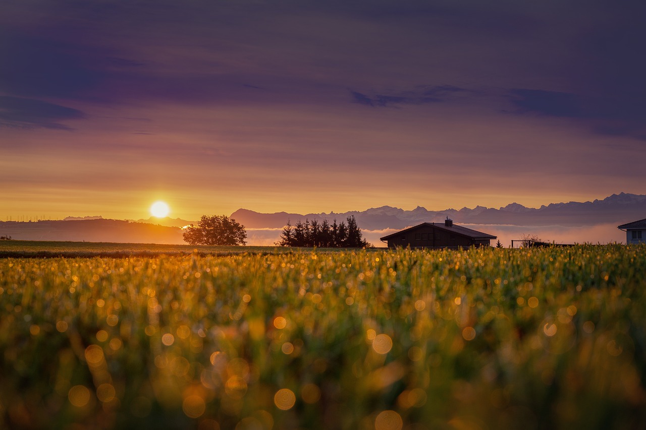 Southern Indiana and Greater Louisville real estate market guide by REMAX FIRST