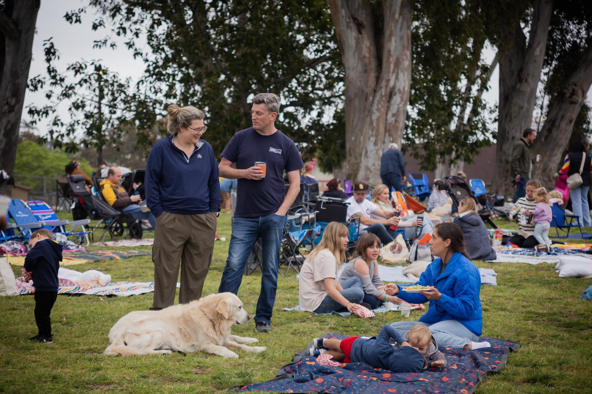 Families on blankets, wide evening shot