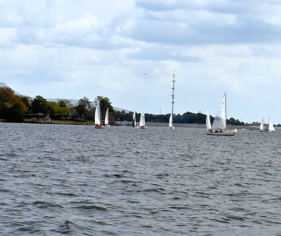 Sailboats gliding across Lake Murray, South Carolina, showcasing waterfront living, outdoor recreation, and the beauty of lakefront homes near Columbia, SC.