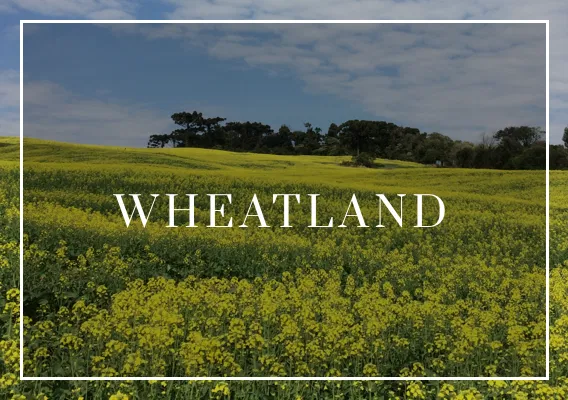 Wheatland County Homes