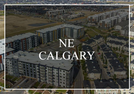 NE Calgary Homes