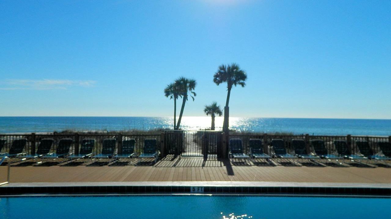 image of 4 palm trees directly centered in the gulf near the edgewater beach resort condo image of 4 palm trees directly centered in the gulf near the edgewater beach resort condo