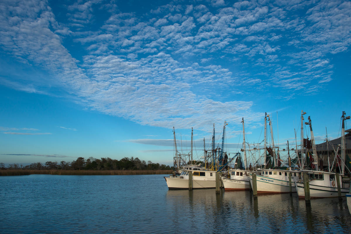 apalachicola homes offer docks and easy access to shallow waters of the gulf apalachicola homes offer docks and easy access to shallow waters of the gulf