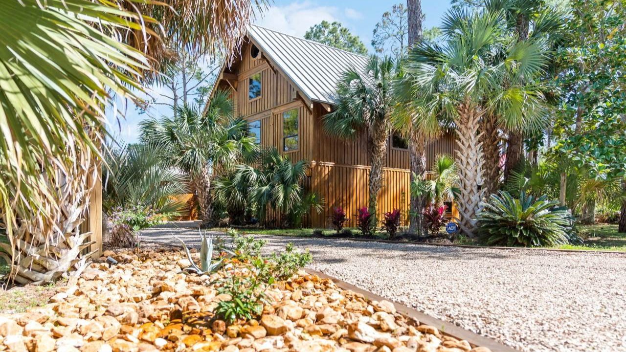 cabin-like port st. joe home occupied with thriving palm trees