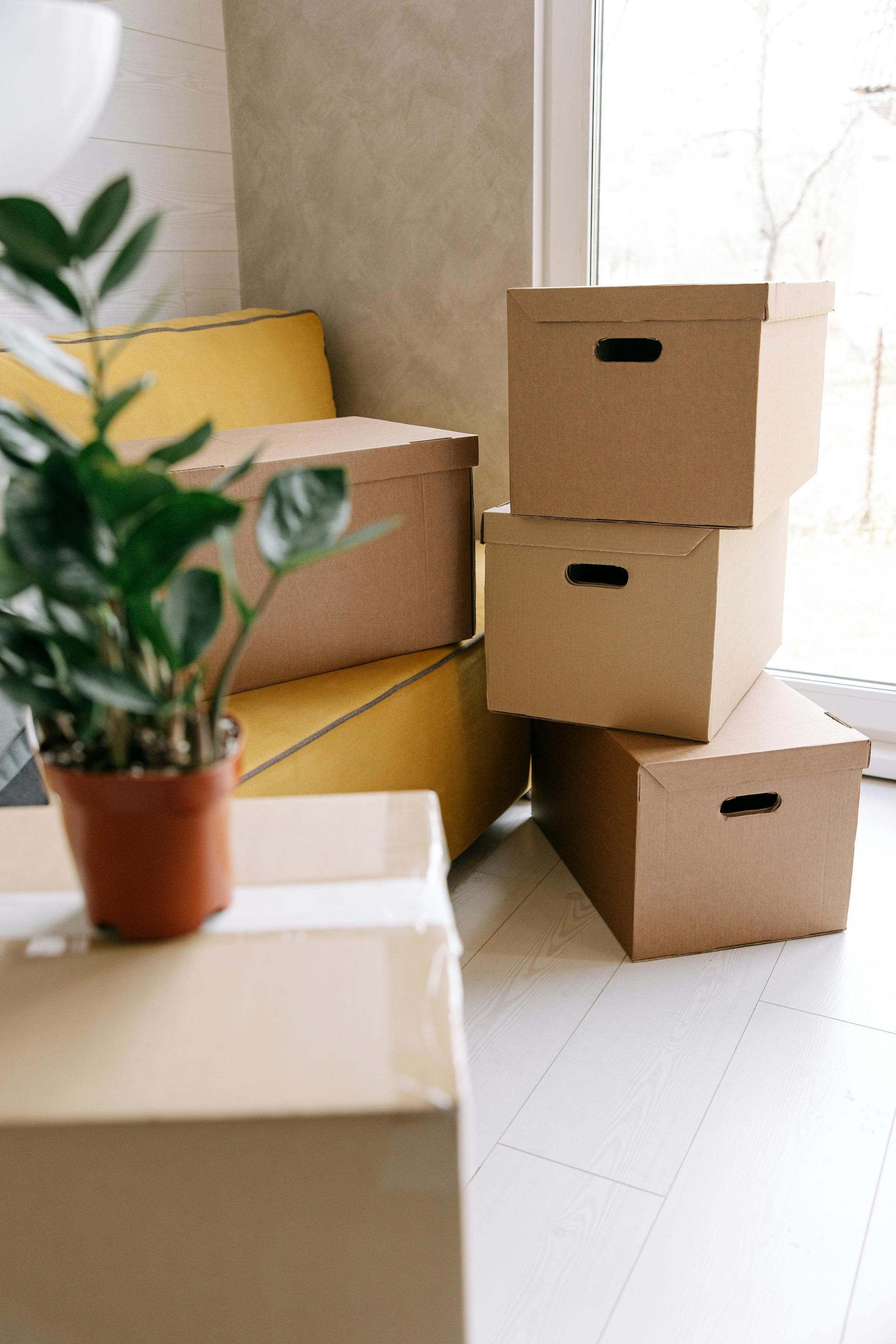 Moving boxes stacked near a plant and window