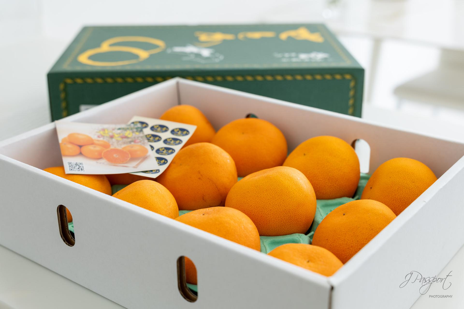 JX.today - J Passport