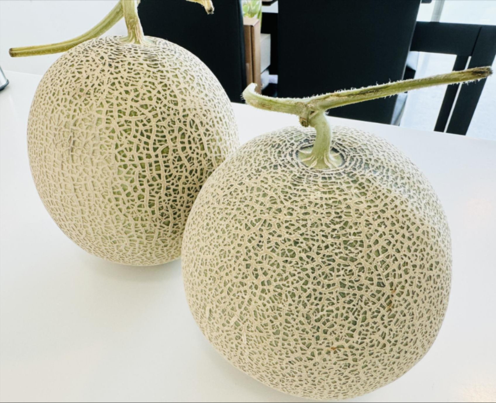 JX.today - J Passport