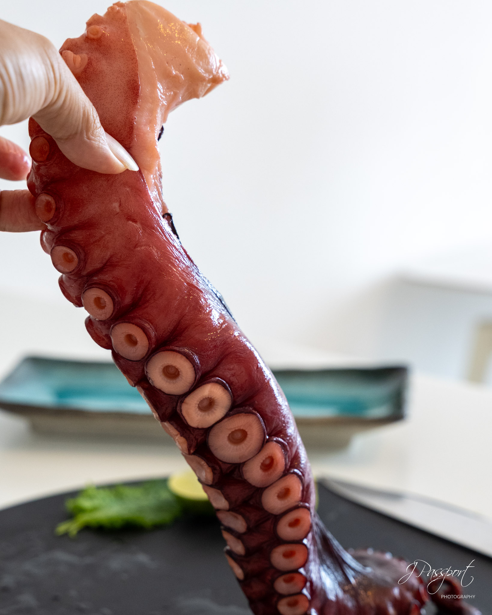 JX.today - J Passport