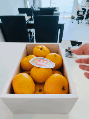 JX.today - J Passport