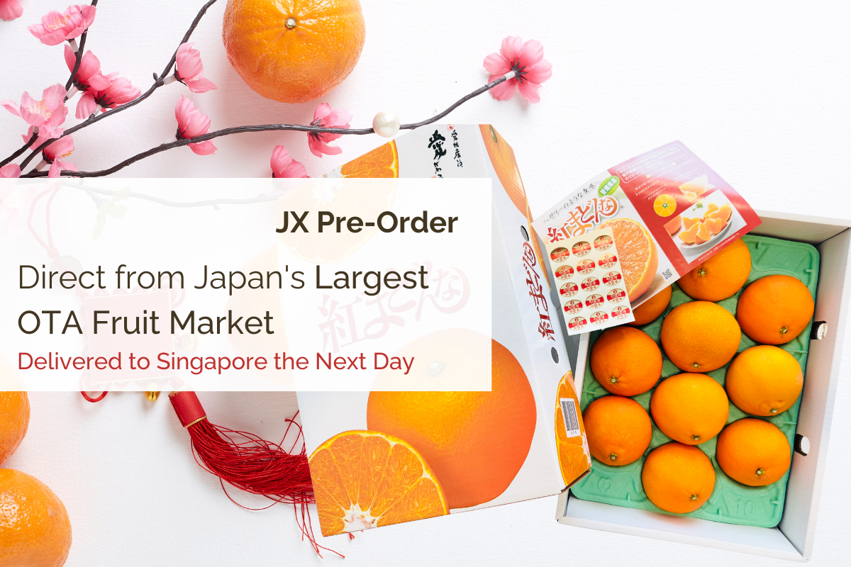 JX.today - J Passport