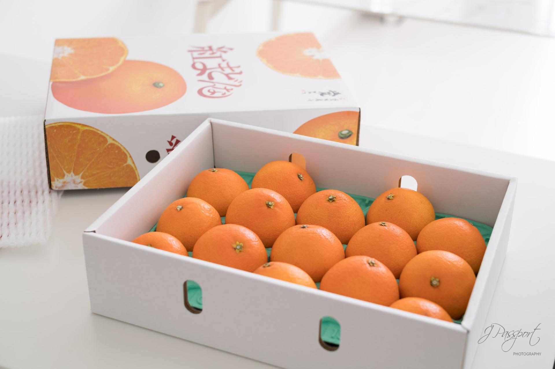 JX.today - J Passport