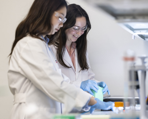 School of Medicine receives UGA Foundation grant