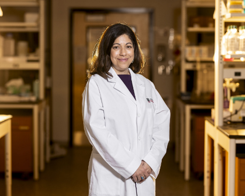 UGA’s School of Medicine leads cutting-edge cancer research