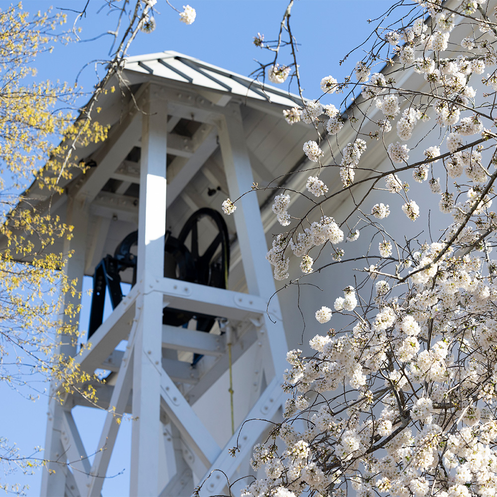 Scenic photo of Chapel Bell at UGA. (UGA)
