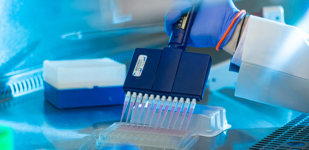 A closeup of a researcher using a pipette in a laboratory.