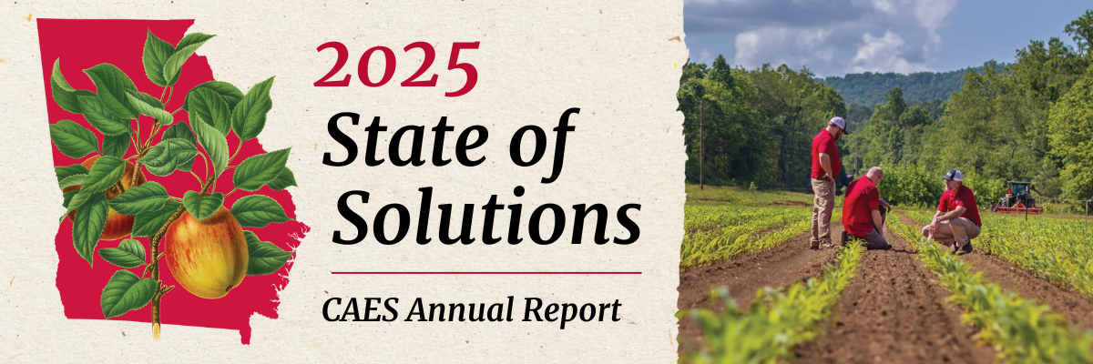 State of Solutions