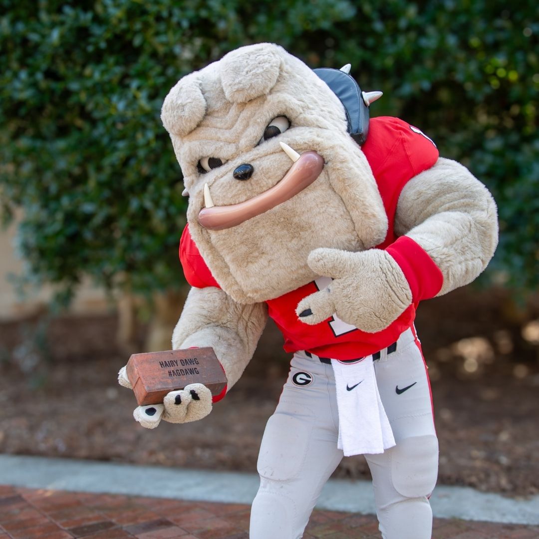 Buy a brick at Four Towers!