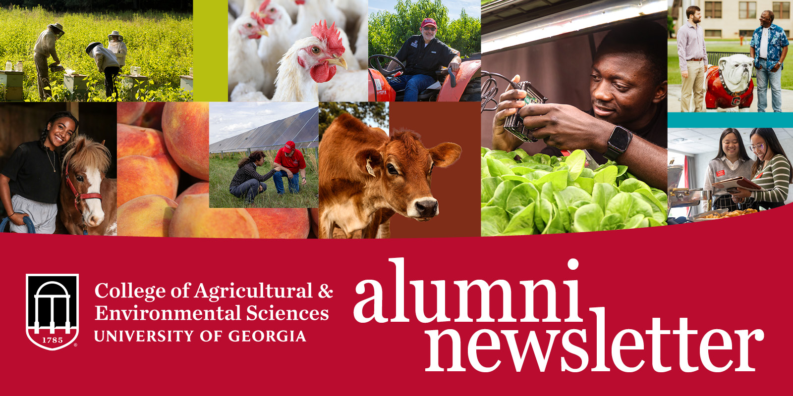 CAES Alumni Newsletter