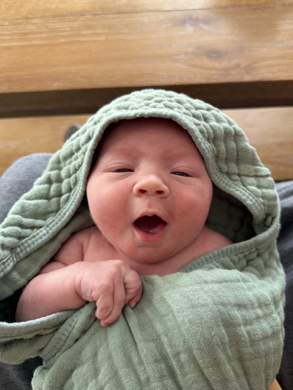 A newborn baby girl wrapped in a green blanket