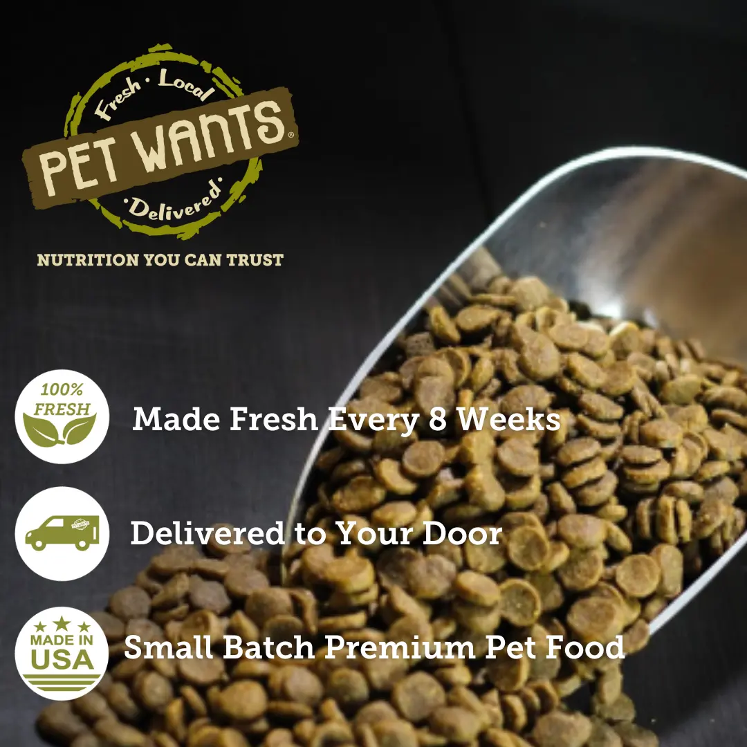 Shop Dog food