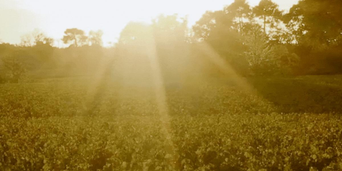 Les Sources de Vougeot 