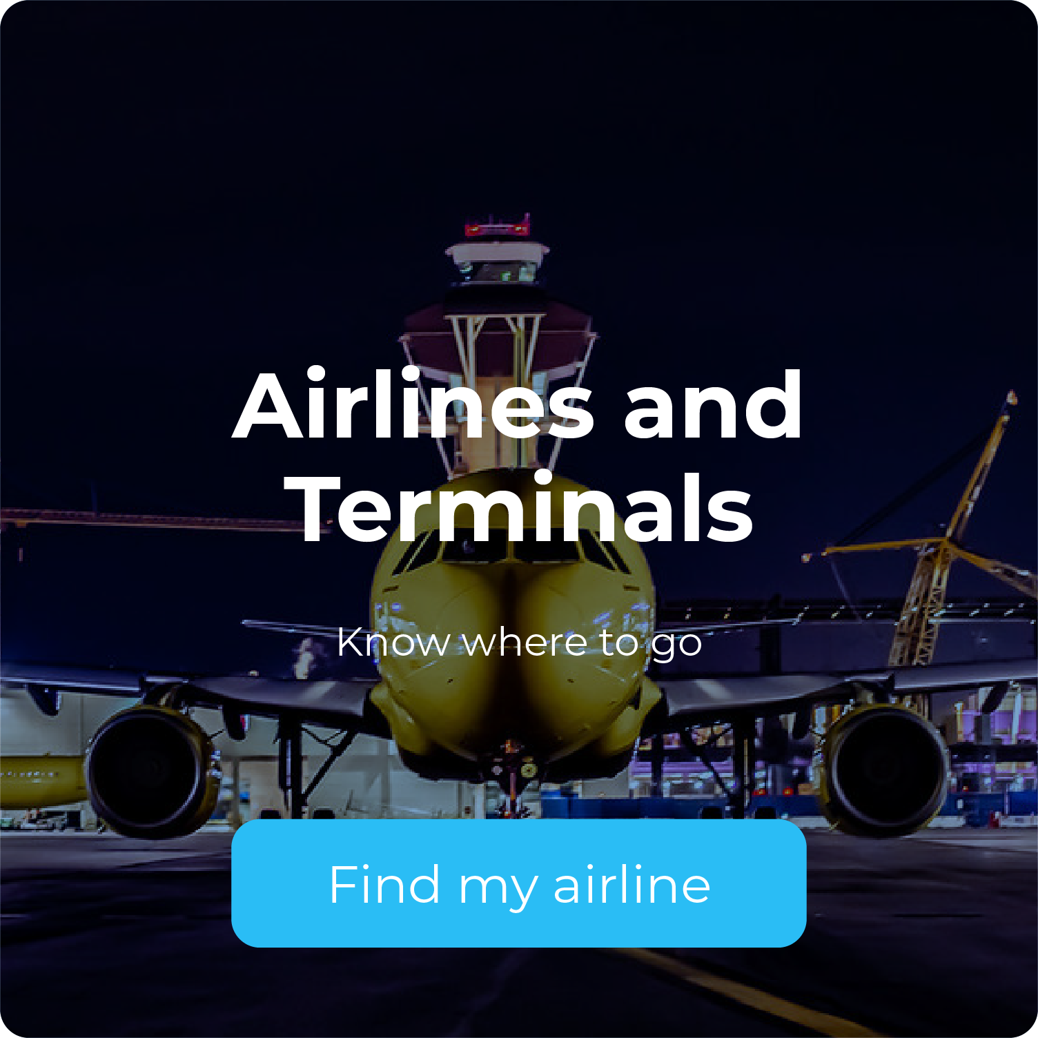 Airlines and Terminals