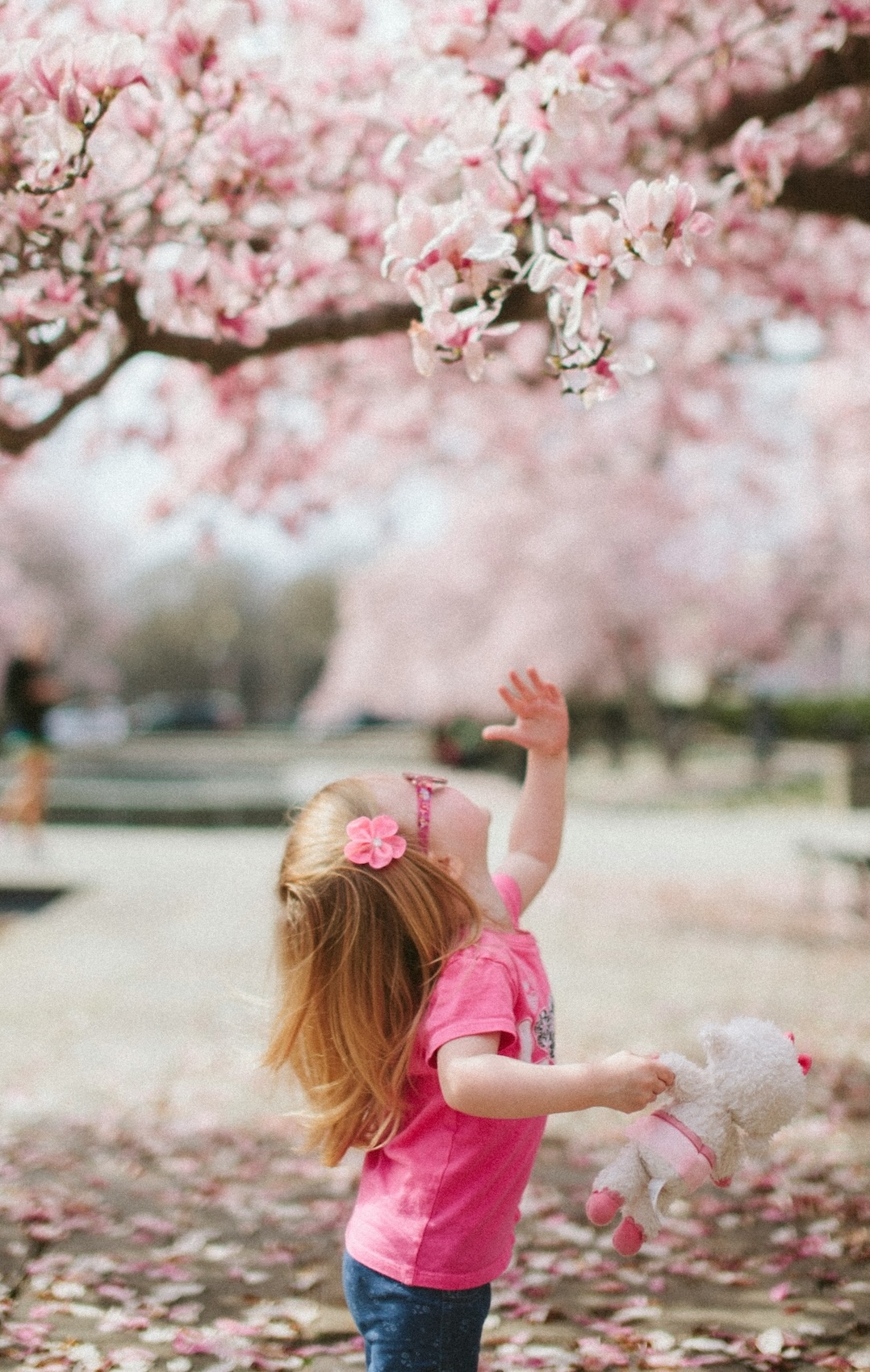 girl with doll looking up at cherry blossoms by Karl Fredrickson on Unsplash