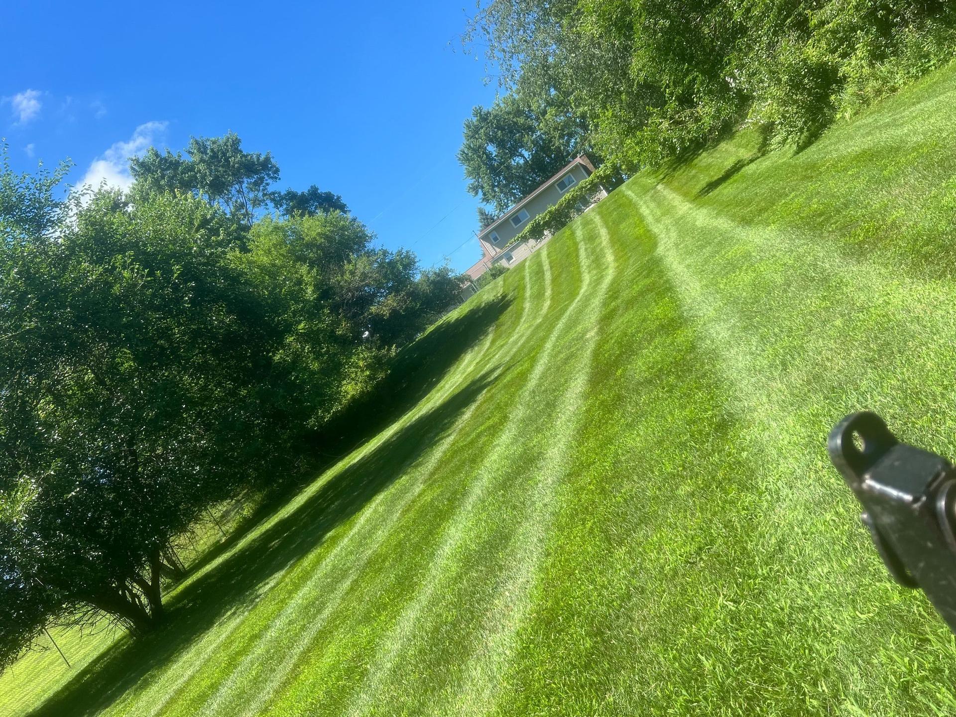 Sodding and reseeding Services in Lansing, MI