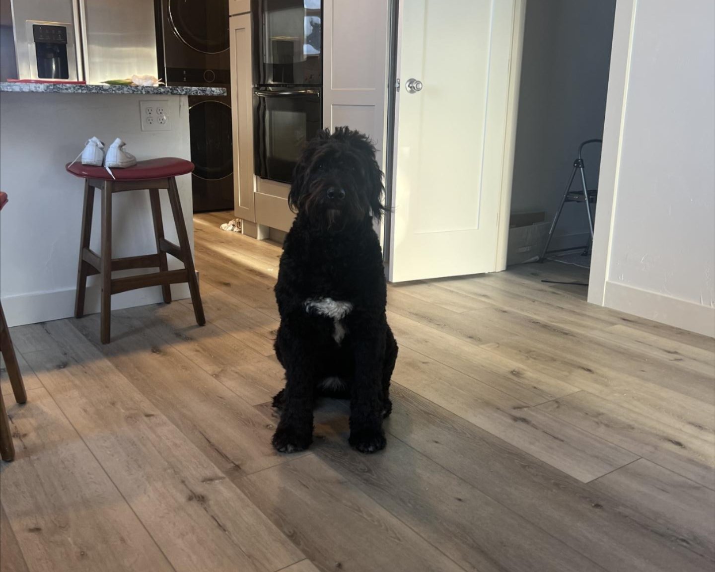 Laminate flooring trends in Jackson, WY