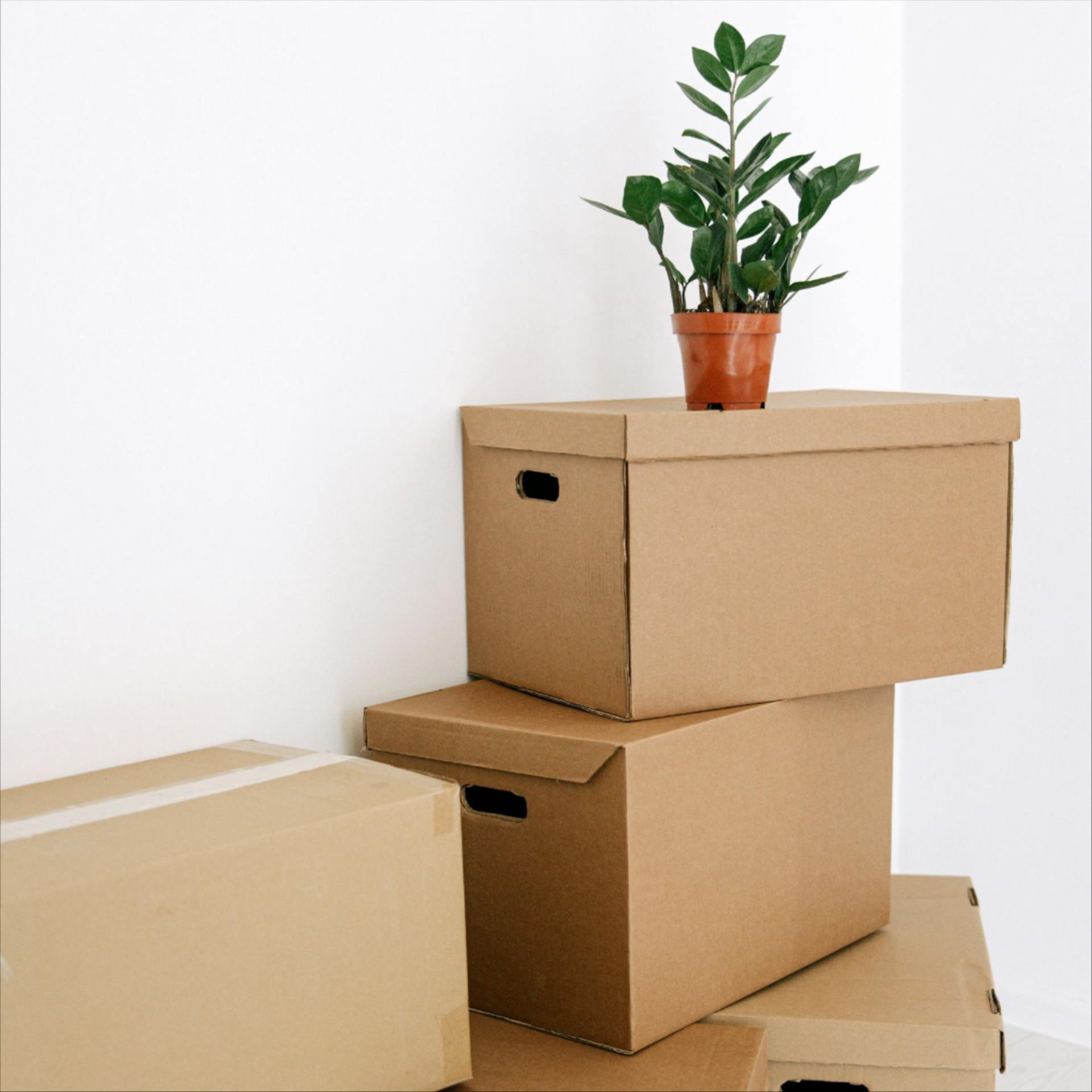 Moving out? Need cleaning services in the Twin Cities area and beyond