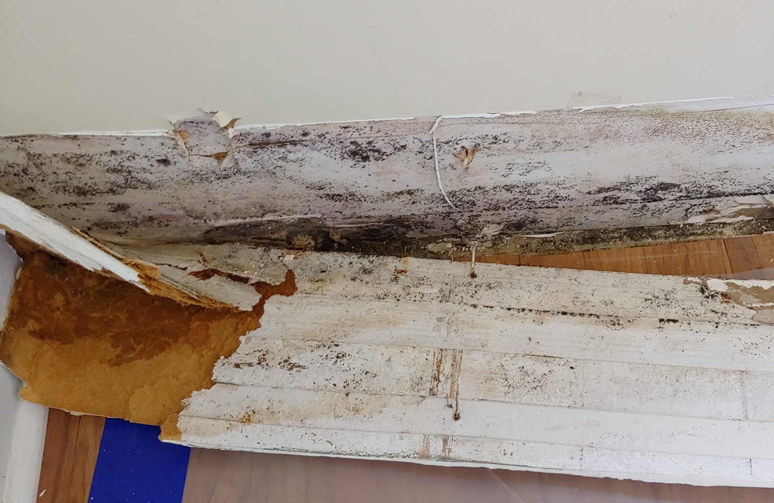 Restoration & Licensed Repair Services in Chamblee, GA Restoration & Licensed Repair Services in Chamblee, GA