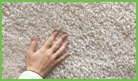 Carpet Stain and Dirt Protection Service in Midlothian, Texas - Towers Restoration and Cleaning Carpet Stain and Dirt Protection Service in Midlothian, Texas - Towers Restoration and Cleaning
