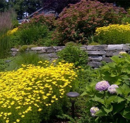 Beautiful pollinator gardens in East Hampton, CT