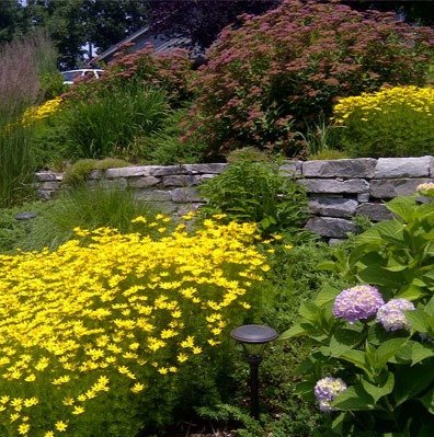 Garden design solutions for homes in Marlborough, CT