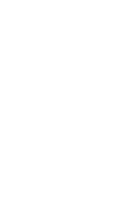 Visit Us