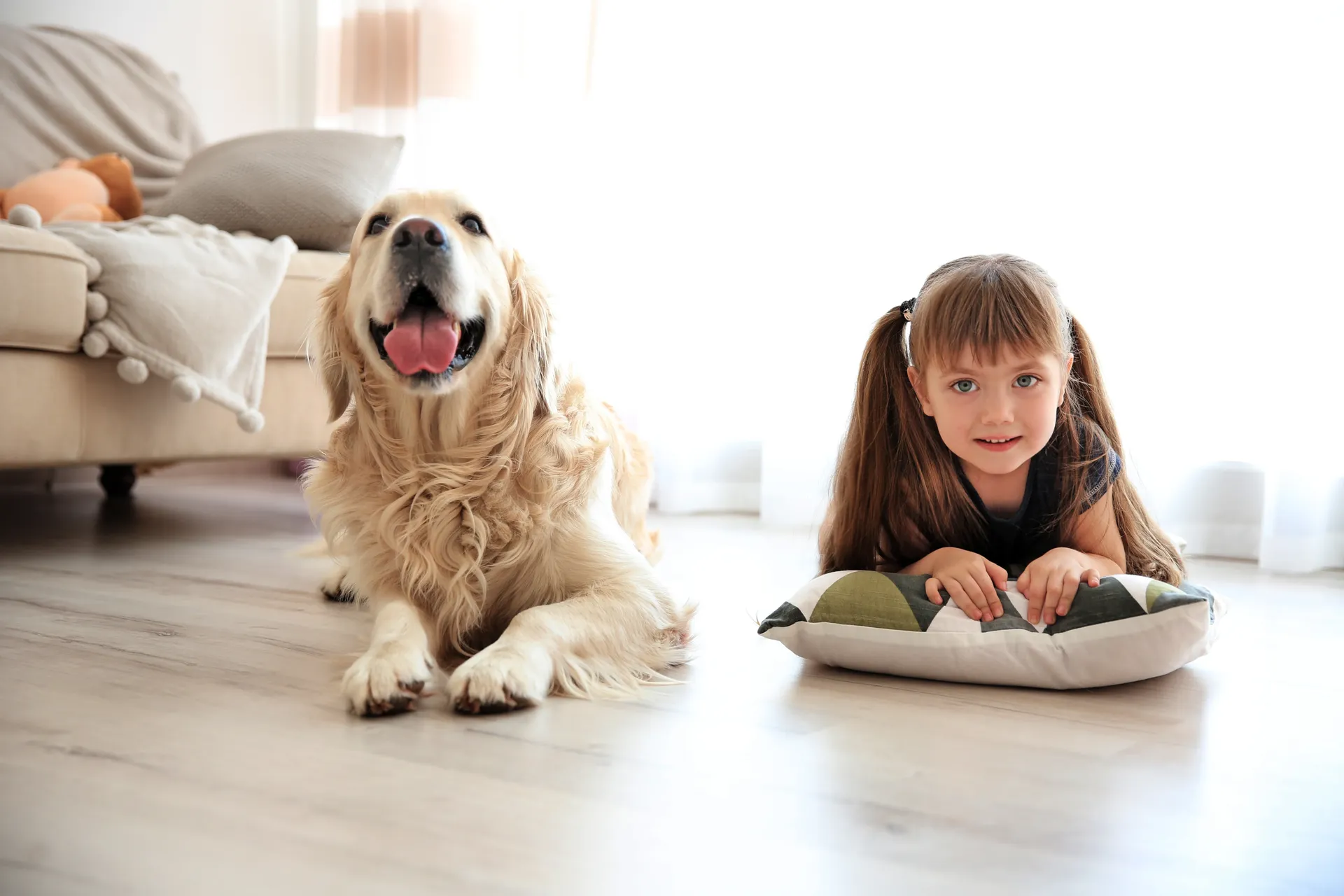 Child playing with dog on stylish vinyl flooring