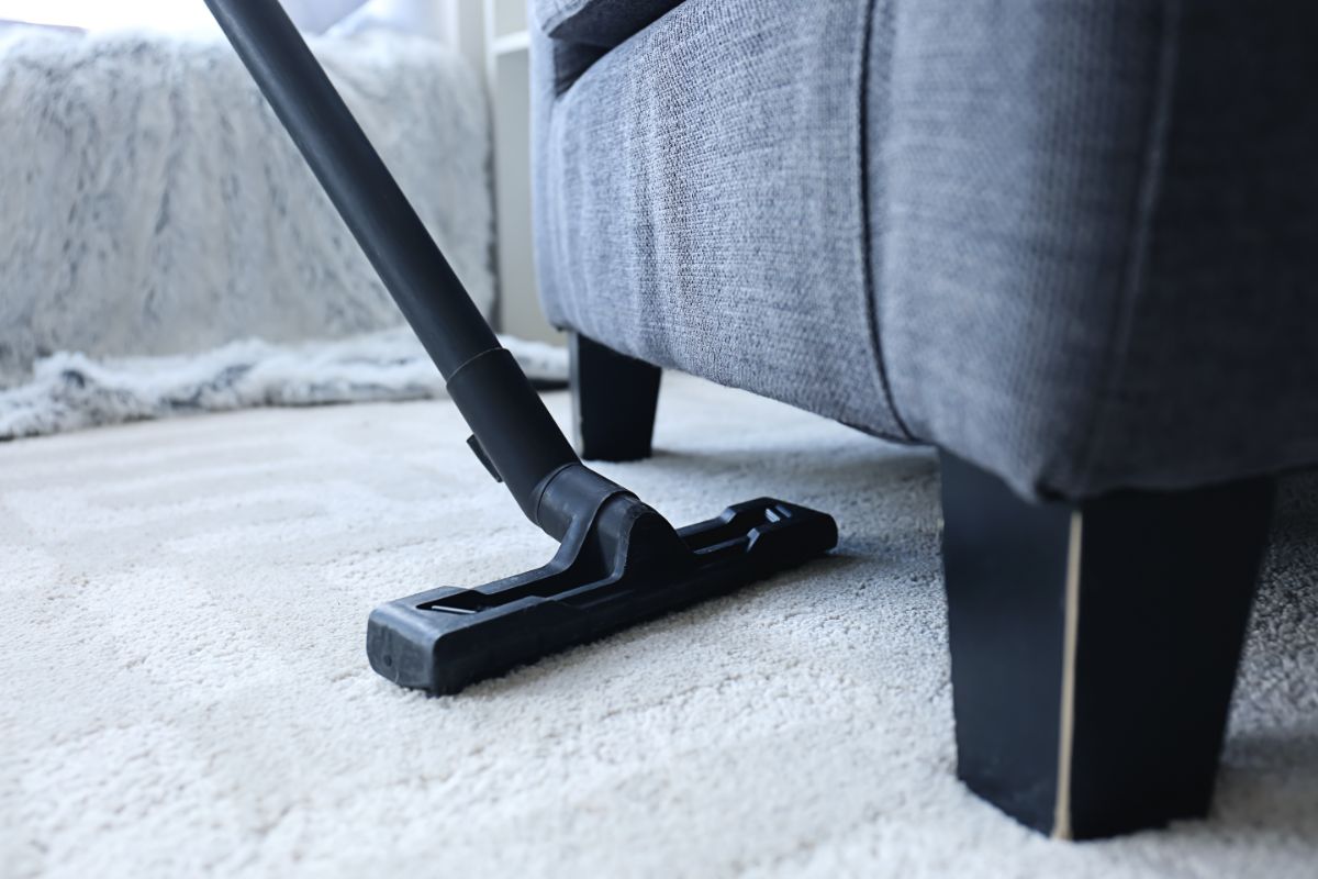 Deep carpet cleaning for stain and dirt removal in St Peters, MO