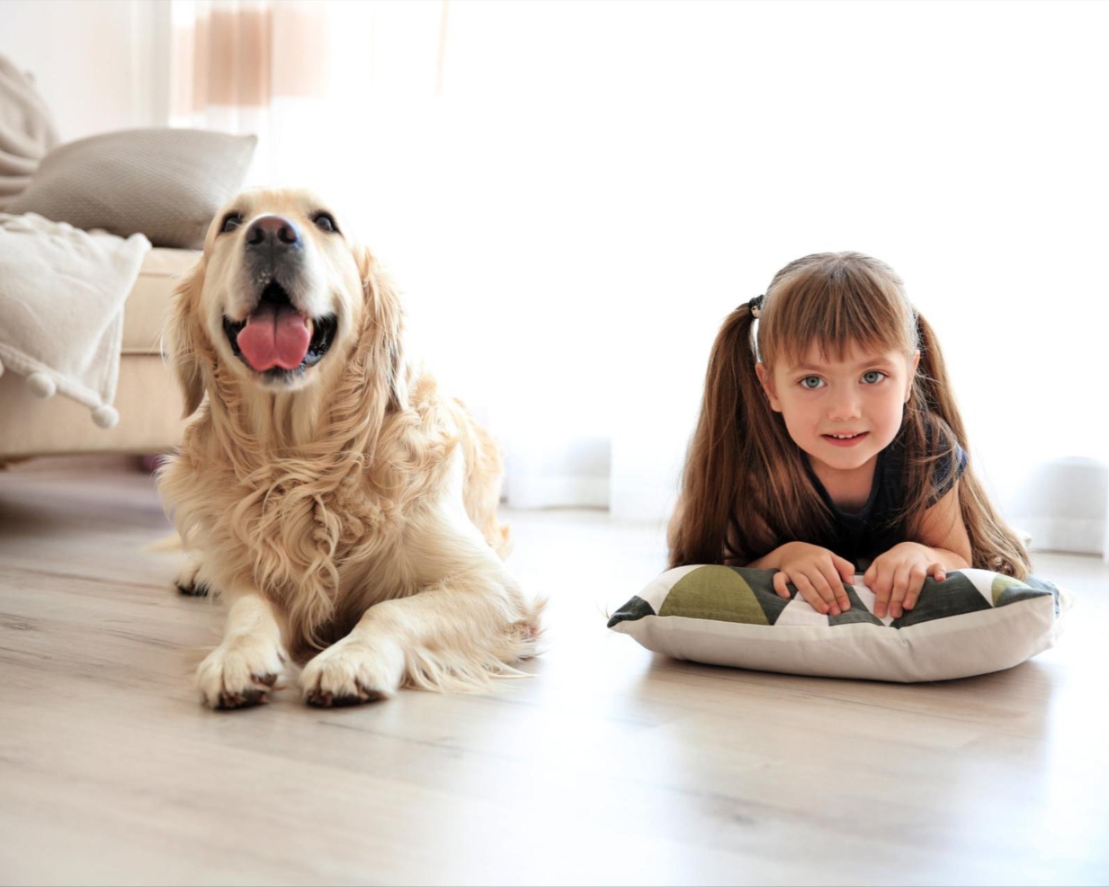 Stylish LVP flooring in St. Peters, MO