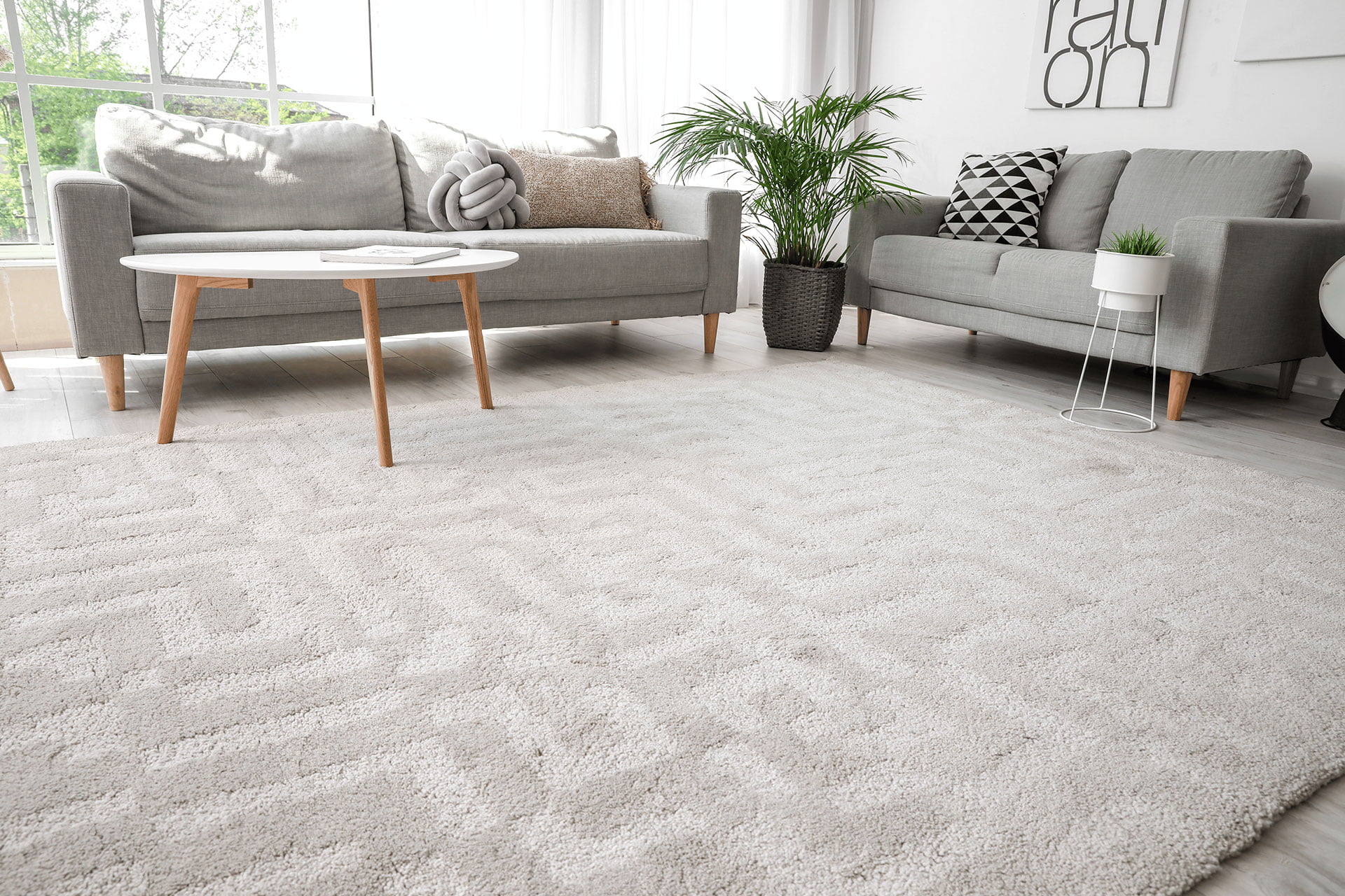 Modern Carpet Flooring