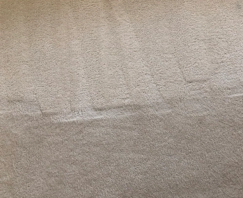 Showing results after professional carpet cleaning - restored cleanliness and improved appearance in an Orlando home Showing results after professional carpet cleaning - restored cleanliness and improved appearance in an Orlando home