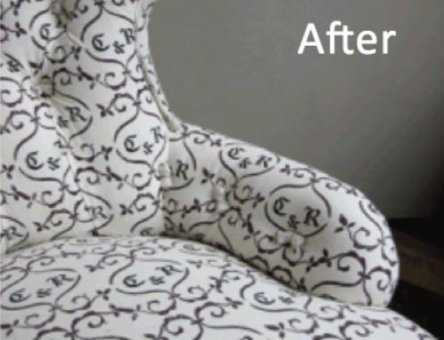 Freshly cleaned patterned fabric chair showing bright, stain-free upholstery after expert professional cleaning — make your Orlando living spaces look amazing Freshly cleaned patterned fabric chair showing bright, stain-free upholstery after expert professional cleaning — make your Orlando living spaces look amazing